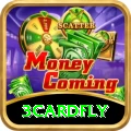 3cardfly Turbo v1.5.6