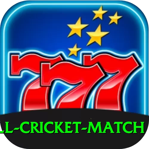 all cricket match Deluxe Edition v1.7.0 - 2