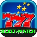 all cricket match Deluxe Edition v1.7.0