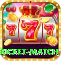 bangladesh cricket match Pro Edition v5.8.2