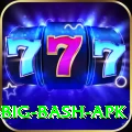 bbl big bash apk Apps (Tools & Injectors) Max v1.4.9