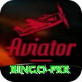 Bingo PKR Master Pro v1.5.8
