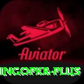 bingopkr Turbo Pro v1.6.8