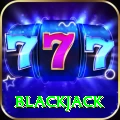 blackjack Pro Max v3.5.8