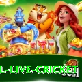 bpl live cricket