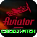 cricket pitch Games (Casino & Earning) Premium v3.1.5