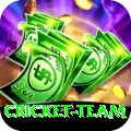 cricket team Ultimate Pro v2.8.8