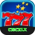 crickex Premium Plus vv3.2.7