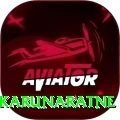 dimuth karunaratne Pro Edition v3.4.4