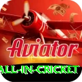 fastest ball in cricket Plus Pro v5.8.1