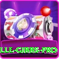 herschelle gibbs Games Max