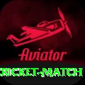 india newzealand cricket match Deluxe Edition v2.4.8