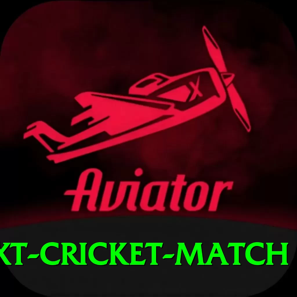 india next cricket match Deluxe Edition v1.7.4 - 2