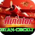 india pakistan cricket Apps (Tools & Injectors) Deluxe v1.6.0