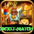 india pakistan cricket match Pro v4.7.6