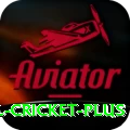 international cricket - Slots Max