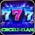 ireland cricket team Elite v3.3.3