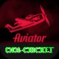 odi cricket Premium Plus v1.3.8