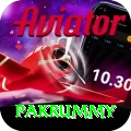 pakrummy Master v2.4.6