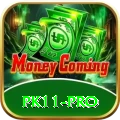 pk11 Live Max v1.5.1