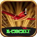 r cricket Games (Casino & Earning) Pro v1.8.1
