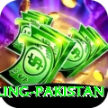 responsible gambling pakistan Elite v5.4.4