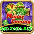 saano tara bus VIP Pro v5.5.4