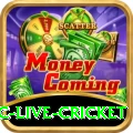 smartcric live cricket Pro Max v2.0.3