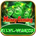 steve waugh Max Pro v3.1.8