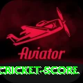 test cricket score Premium Edition v1.5.7