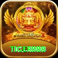 tiger888 Gold v5.8.7