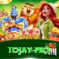 tojay Pro1 v1.9.0