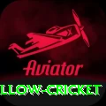 willow cricket Max v1.8.9