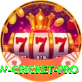 willow cricket Plus PK v1.5.6